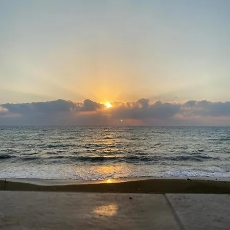 Uniquely Located On The *