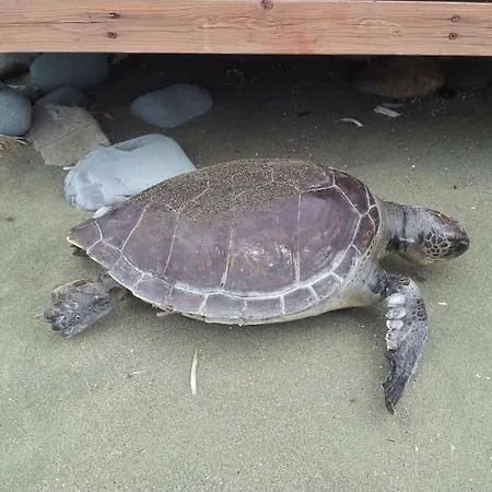 Uniquely Located On The Ajía Marína