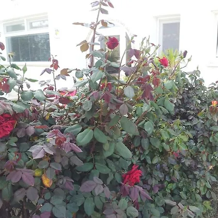 Nyaraló Uniquely Located On The *