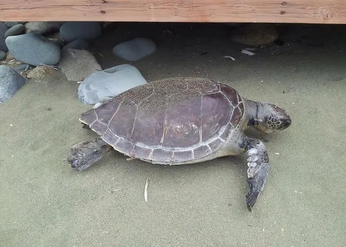 Uniquely Located On The Ayia Marina