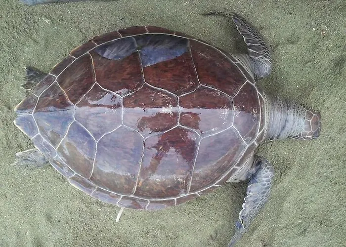 Uniquely Located On The 別荘