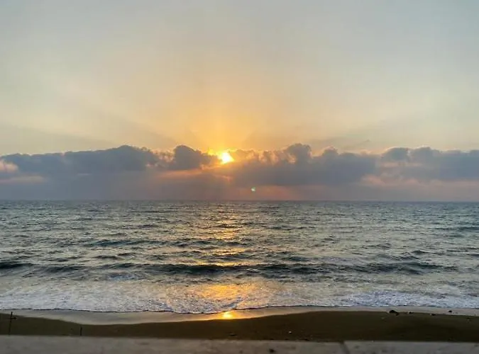 Uniquely Located On The *